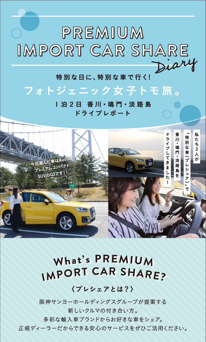 PREMIUM IMPORT CAR SHARE